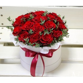 Бордовые розы с зеленью в коробке №50